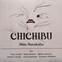 Shin Sasakubo 笹久保伸 CHICHIBU ドイツプレスアナログ盤 - メルカリ