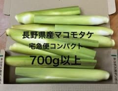 長野県産　マコモタケ　マコモダケ　700g以上のサムネイル