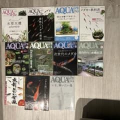 アクア雑誌１１冊、アクアライフ、アクアスタイル、メダカの教科書、飼いたい新書のサムネイル