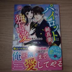 敏腕パイロットは純真妻を溢れる独占愛で包囲する 皐月なおみのサムネイル