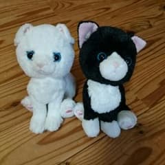 ねこセットのサムネイル