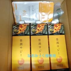 なおみっく様専用フィネス 豊潤サジーのサムネイル