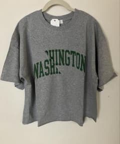 新品 SM2 ブロッキングロゴプリントTシャツ グレー サマンサモスモスのサムネイル