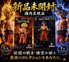 이치 반 쿠지 드래곤 볼 THE CHRONICLE OF GOKU C상 F상