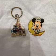 Disney ディズニーリゾート　ランド　シー　ピンバッジ　ピンズ　キーホルダー 東京ディズニーリゾート ピンバッジ キーホルダー 2点セット - メルカリ