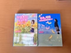 小説　野いちご　新品のサムネイル