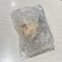 ルカ ねんどろいど　さぷらいず　ALIEN STAGE エイリアンステージのサムネイル