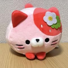 모치후와코로코로 냥코 도치기 한정 딸기 냥 당지 신품 태그 첨부 익명