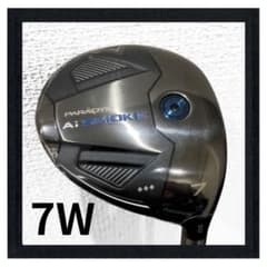 新品 パラダイム Ai スモーク トリプルダイヤモンド 7W 20° - メルカリ