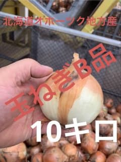 北海道オホーツク地方産 玉ねぎ 10キロ B品のサムネイル
