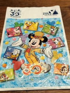 ディズニー　30周年　レア　袋　美品のサムネイル