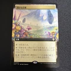 豊かな在郷 土地カード マジック：ザ・ギャザリング 拡張 - メルカリ