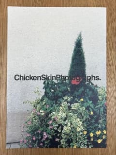 清野賀子 Chicken Skin Photographs 写真集 zine 清野賀子 Chicken Skin Photographs 写真集 zine - メルカリ
