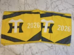 阪神タイガース 2026シーズンシートタオル　2枚セットのサムネイル