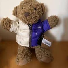 伊*ニ様 Supreme THE NORTH FACE ぬいぐるみ テディベア - メルカリ