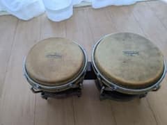 LP【Matador】ボンゴ Latin Percussion マタドール - メルカリ
