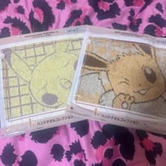 2025 Pokémon Collection くじ ハンドタオル 2種セットのサムネイル