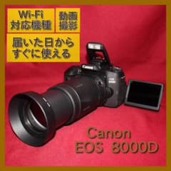 ✨Wi-Fi搭載機種✨Canon EOS 8000D 超望遠レンズセット✨ - メルカリ