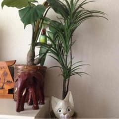 返金専用のサムネイル