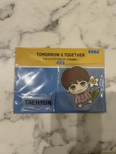 TXT ツインクリアスタンド CROWN テヒョン