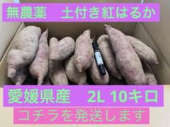 【無農薬】紅はるか 土付き 10Kg 2Lサイズ　261012のサムネイル