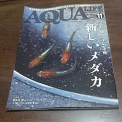 アクアライフ　2017年11月号のサムネイル