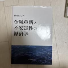 金融革新と不安定性の経済学　関学生のサムネイル