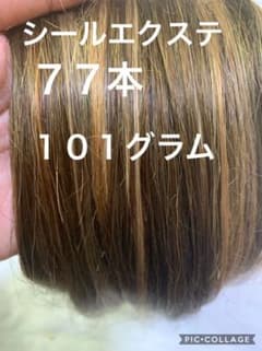 シールエクステ77本101gのサムネイル