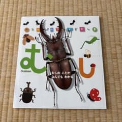 Gakken スーパーワイドずかん むし むしのことがなんでもわかるのサムネイル