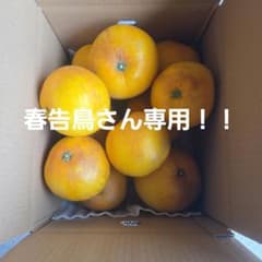 춘고조 씨 전용!! 번역 있음!!☆세토다 안정 감☆ 11구슬 약 7킬로 가정용