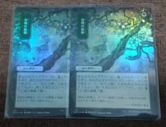 MTG 冒険の衝動 日本画 foil ２枚セットのサムネイル