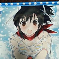 HIroさん専用閃乱カグラ PEACH BEACH SPLASH  タペストリーのサムネイル