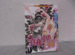 送料無料】MⅠ－48 真夜中の王様 （鳴神ゆった） - メルカリ