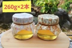 日本蜜蜂　はちみつ　プレゼント　　260g　2本 ニホンミツバチ　おしゃれのサムネイル