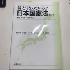 新・どうなっている!?日本国憲法 : 憲法と社会を考えるのサムネイル