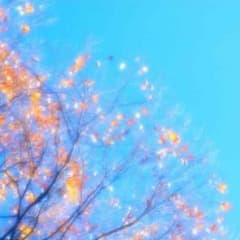 リオナ様専用ページのサムネイル