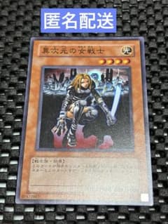 安い異次元の女戦士の通販商品を比較 | ショッピング情報のオークファン