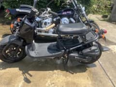 HONDA ZOOMER ホンダ ズーマー ブラック　超低走行1200キロ台のサムネイル