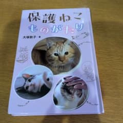 保護ねこものがたり 大塚敦子のサムネイル