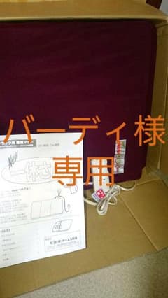 バーディ様専用トラック用蓄熱マット〈寒さ対策〉のサムネイル