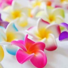 返金用のサムネイル