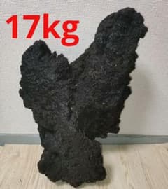 巨大な岩 天然 17kg 溶岩石 巨大な岩 天然 17kg 溶岩石 - メルカリ