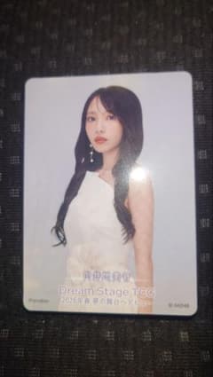 向井地美音 Dream Stage TCG AKB48 武道館 入場特典 トレカ - メルカリ