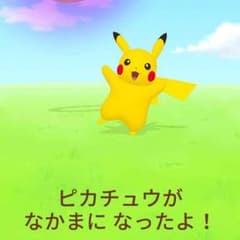 copongさん専用のサムネイル