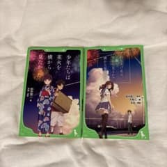 少年たちは花火を横からみたかった・打ち上げ花火、下から見るか？横から見るか？のサムネイル