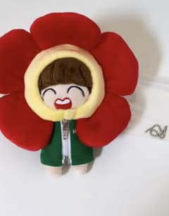bts ホソク ヒマンイ ぬいぐるみ  ⭕今日だけこの値段です！のサムネイル