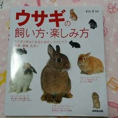 ウサギの飼い方・楽しみ方のサムネイル