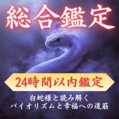 総合鑑定】全体運・運気の流れ・バイオリズム・幸福・チャンス・厄除け