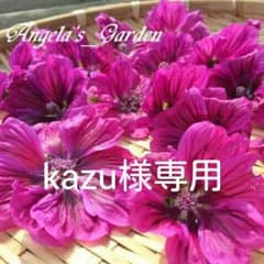 kazu様専用のサムネイル