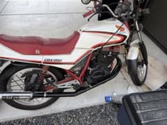 ホンダ CBX250 250cc スポーツバイクのサムネイル